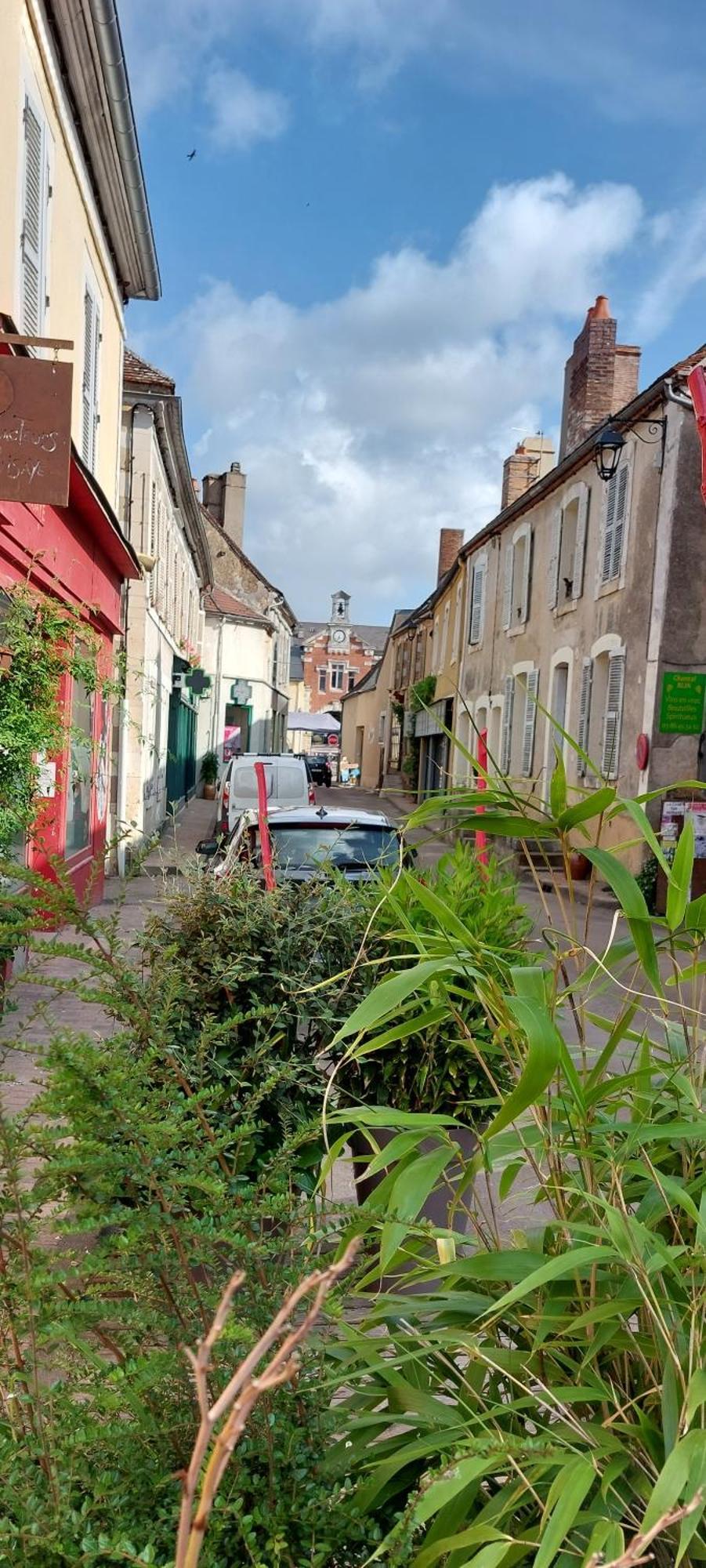 Sur Les Ailes Du Papillon-La Suite Saint-Sauveur-en-Puisaye Buitenkant foto